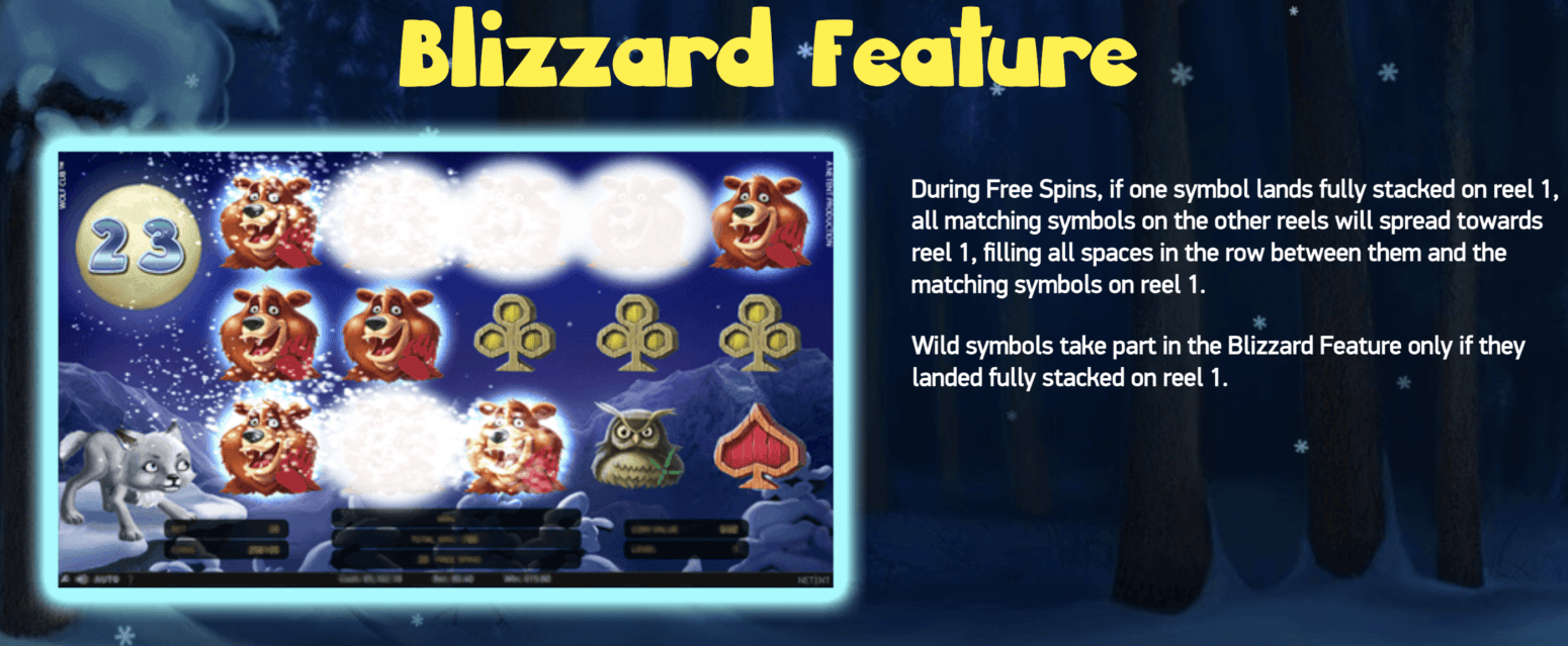 Wolf Cub Blizzard Feature